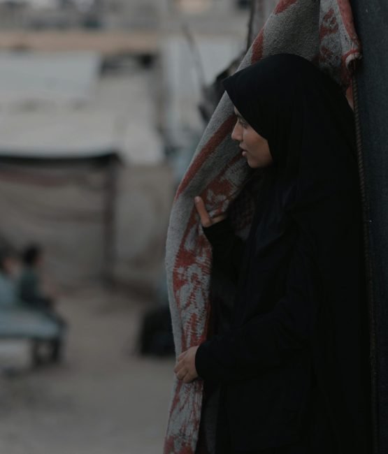 pexels-hosny-salah-21693143-36193763