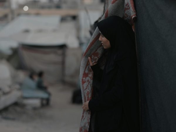 pexels-hosny-salah-21693143-36193763