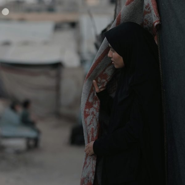 pexels-hosny-salah-21693143-36193763